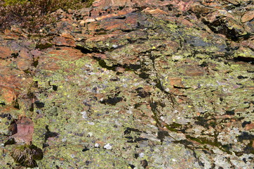 Feldswand in warmen Farben
