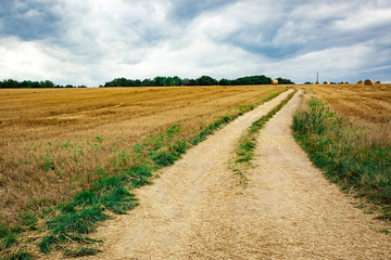 Cartway in rural area on a orange field