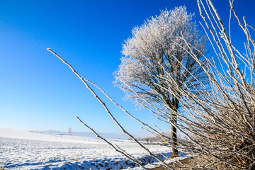 Winterspaziergang