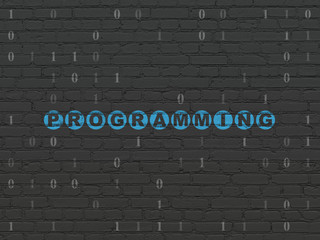 Database concept: Painted blue text Programming on Black Brick wall background with Binary Code