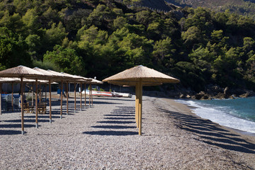 empty beach umbrellas in a row with trees on the background on an autumn sunny scenic day