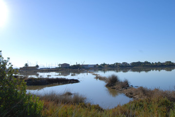 Carloforte, salt lake