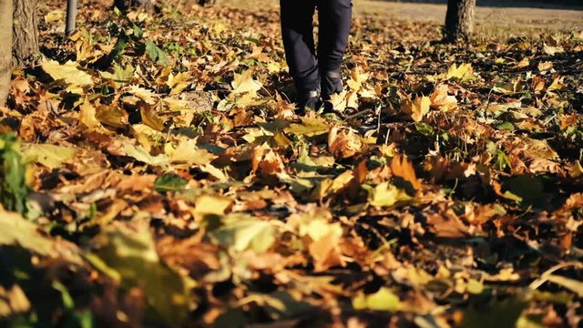 Girl legs walk along the autumn leaves