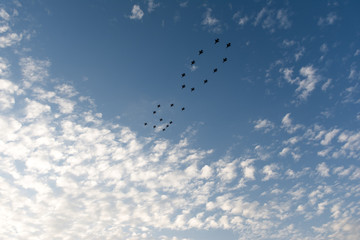 Helicopter fly on sky with flag for Fiftieth anniversary of Singapore