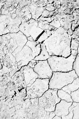 in the desert the dry ground