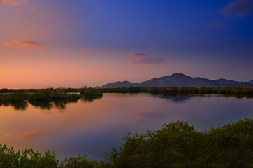 Khor Kalba mangrove reserve during sunrise