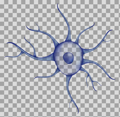 3d Blue human neuron isolated on transparent background. Realistic vector illustration. Template