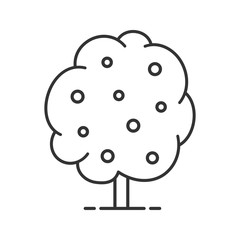 Fruit tree linear icon