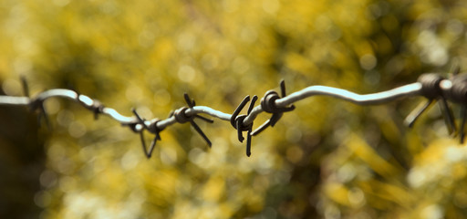 Barbed wire, passage is prohibited, macro photos.