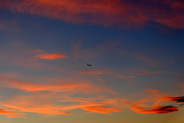 cielo