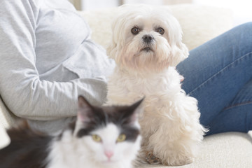 Obraz premium Woman with her pet