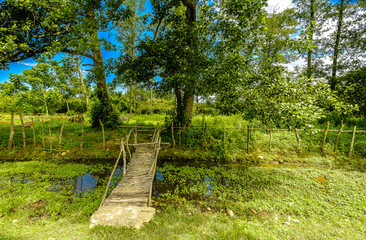 Rural bridge crossing with blue sky, puffy clouds and lush greenery