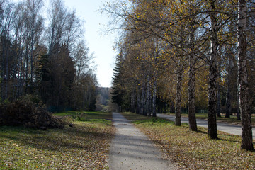 Осенняя дорога