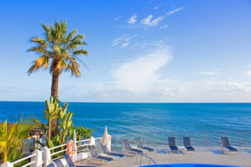 Palm tree. Beautiful beach view. Costa del Sol, Andalusia, Spain.