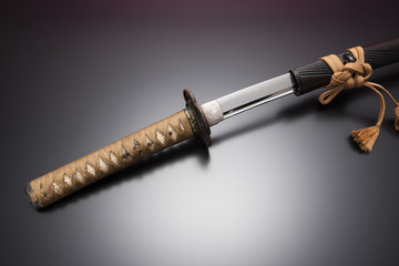 Japanese Sword