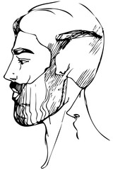 sketch for a portrait of a man with a beard