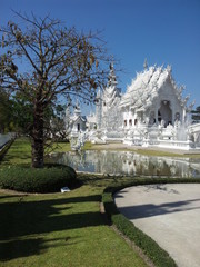 The most beautyful temple in chiangrai.