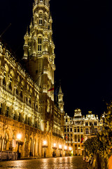 Fototapeta premium Royal Palace of Brussels - landmark of Brussels