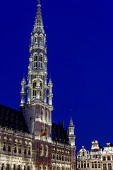 Fototapeta na wymiar Royal Palace of Brussels - landmark of Brussels