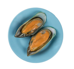  green mussel on plate