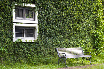the chair and a green house