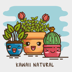 kawaii pot natural plant cartoon vector illustration graphic design