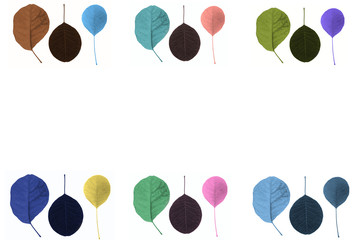 Selection of colourised leaves border on white background