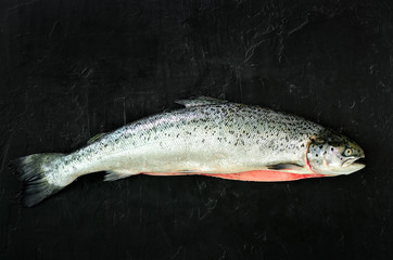 Salmon fish on black concrete background prepared for filing. Copy space, top view
