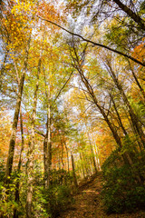 Big Canoe Atlanta Forrest Mountain