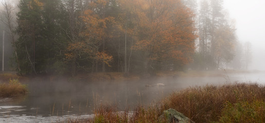 Misty autumn morning by the riverside.
Färnebofjarden national park in Sweden.