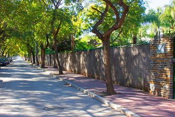 Street. Green Spanish street. Puerto Banus, Marbella, Costa del Sol, Andalusia, Spain.