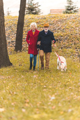 Naklejka na ściany i meble senior couple walking with dog in park