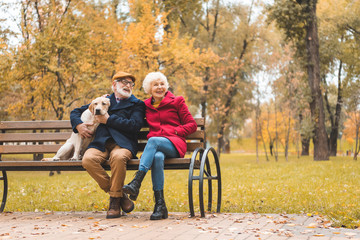 senior couple with dog sitting on bench