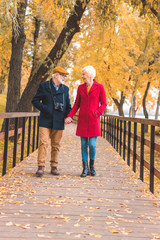 senior couple walking in autumn park
