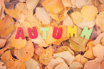 Colorful word autumn on a leaves.