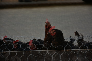 How do you think outside the box?