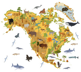 North America flora and fauna map, flat elements. Animals, birds and sea life big set. Build your geography infographics collection