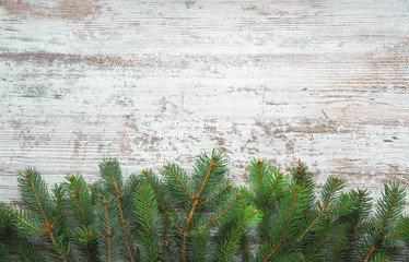 Christmas tree branches on a white wooden board with space for your text.
