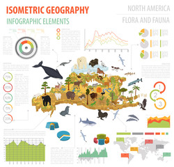 Isometric 3d North America flora and fauna map elements. Animals, birds and sea life. Build your own geography infographics collection