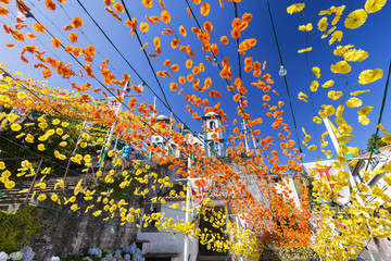 Brilliant blue sky above dazzling decorative yellow and orange flowers at the Church of our Lady of Monte in Funchal.