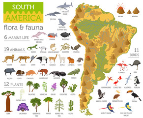 South America flora and fauna map, flat elements. Animals, birds and sea life big set. Build your geography infographics collection