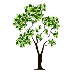 Tree isolated on white background, Vector illustration