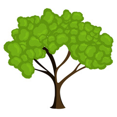 Tree isolated on white background, Vector illustration