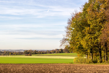 Waldrand