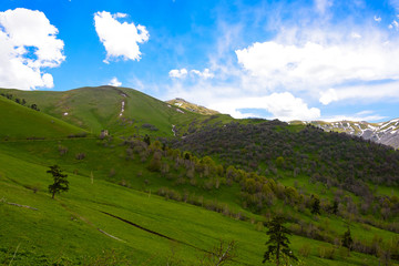 Beautiful mountain landscape in spring