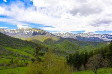 Beautiful mountain landscape in spring