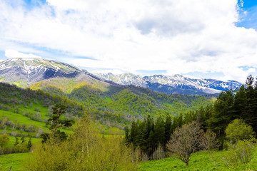 Beautiful mountain landscape in spring
