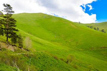 Beautiful mountain landscape in spring
