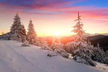 Poster Im Rahmen Dramatische winterliche Szene mit schneebedeckten Bäumen. © Ivan Kmit