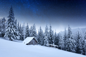 Night landscape glowing by milky way